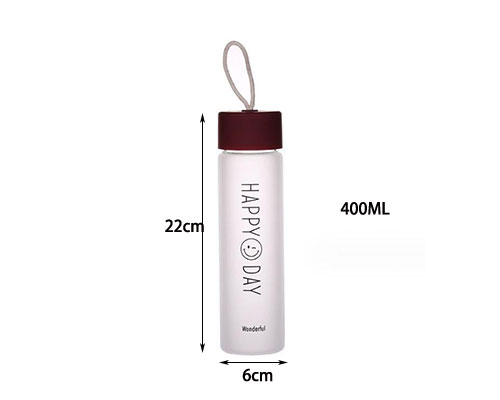 400ml Frosted Glass Water Bottle