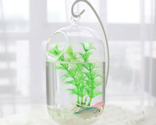 Hanging Clear Glass Vase