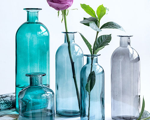 Glass Bottle Vases