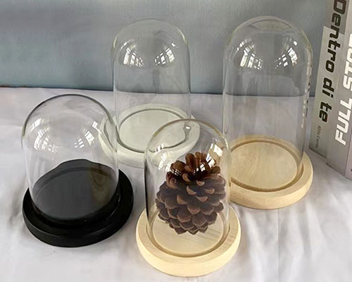 Glass Bell Jars With Wood Base