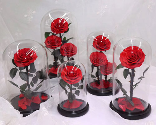 Glass Bell Vases for Flower