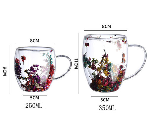 Double Insulated Flower Glass Cups